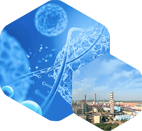 JIANGXI HITO SILICONE MATERIALS CO.,LTD     